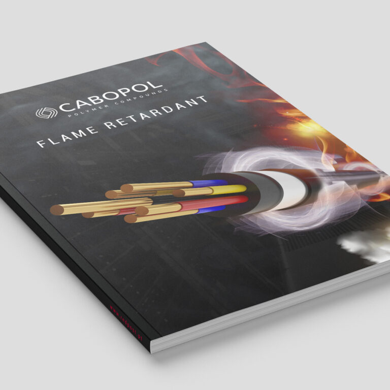 cabopol magazine mockup