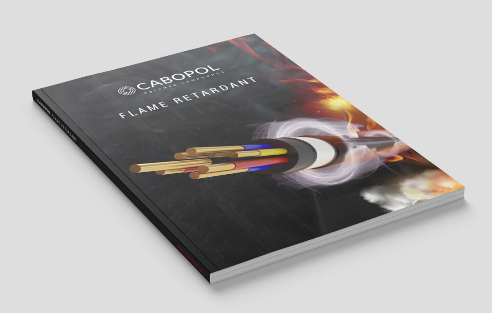 cabopol magazine mockup
